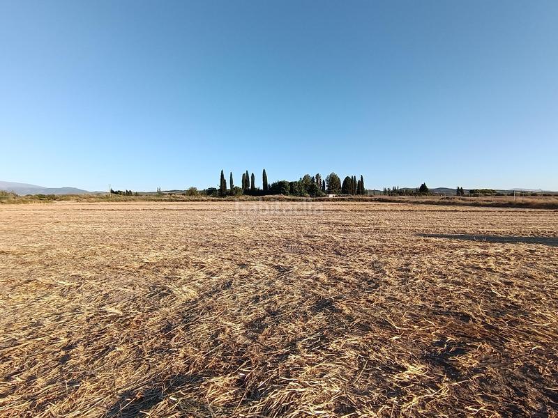 Foto d094e931-7585-4e57-bb7b-9e194e5dde6b. Finca rústica magnifica parcela de 30 marjales en Santa Fe