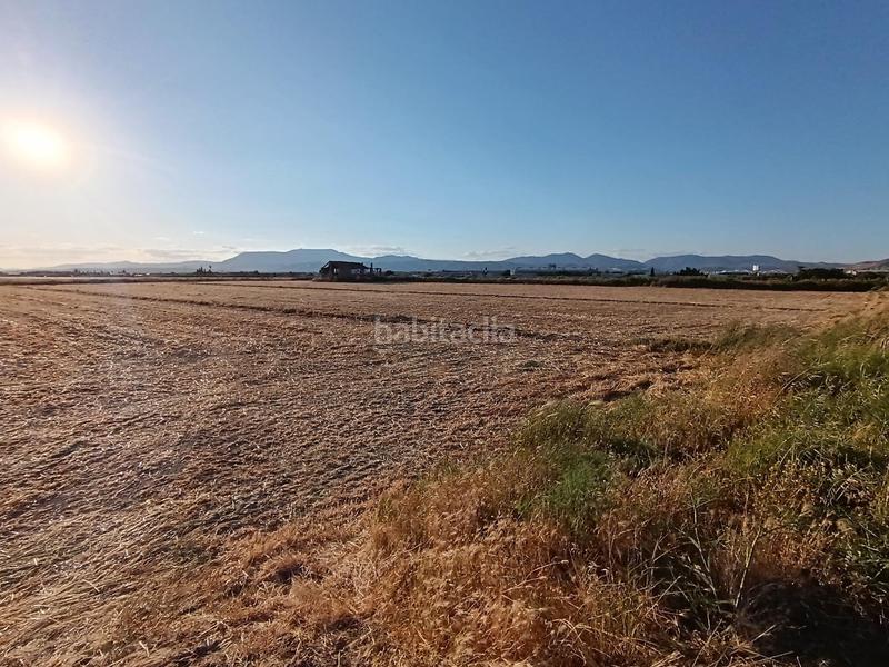 Foto e2b09247-2220-45ee-bdc3-66e94d0c5c8f. Finca rústica magnifica parcela de 30 marjales en Santa Fe