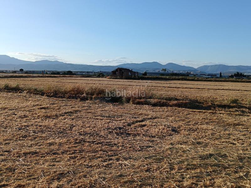 Foto ecc6e9d3-82c2-4cd3-8756-c004d5eeef72. Finca rústica magnifica parcela de 30 marjales en Santa Fe