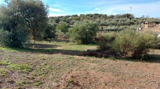 Terreno residencial  Calle totobio. Magnífico solar en nivar, junto a la montaña de 450m2.