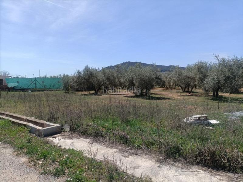 Foto 407ba26a-1147-4499-be9a-b2db8d53f87f. Masía finca rústica en venta en Albolote