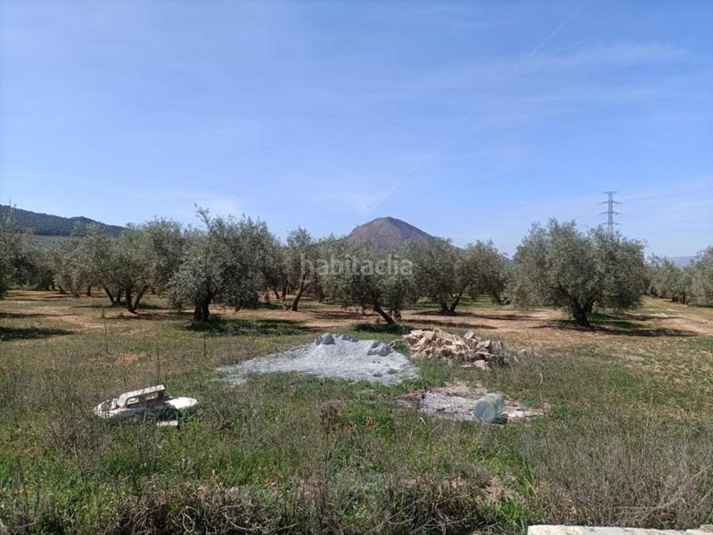 Foto 432a2d22-760f-4bd6-9dcc-a84355520a51. Masía finca rústica en venta en Albolote