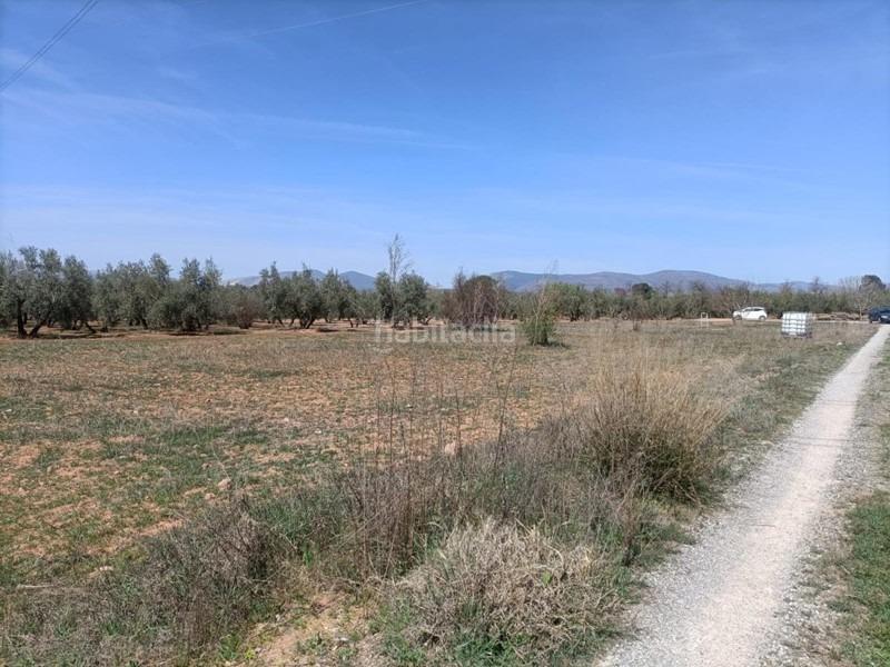 Foto 48fd80c1-e4c0-4d1d-b25e-d87c973cc549. Masía finca rústica en venta en Albolote