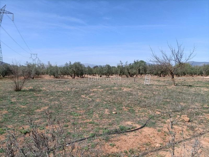 Foto 5719b854-2371-414a-b2f6-0ac286839fa1. Masía finca rústica en venta en Albolote