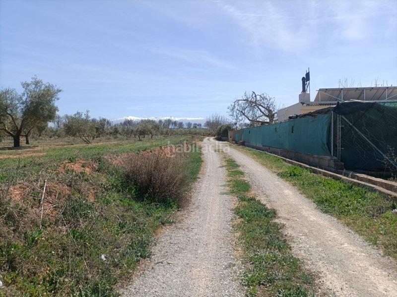 Foto 74d6b38a-3953-48f3-81d0-03b25bd7f00b. Masía finca rústica en venta en Albolote