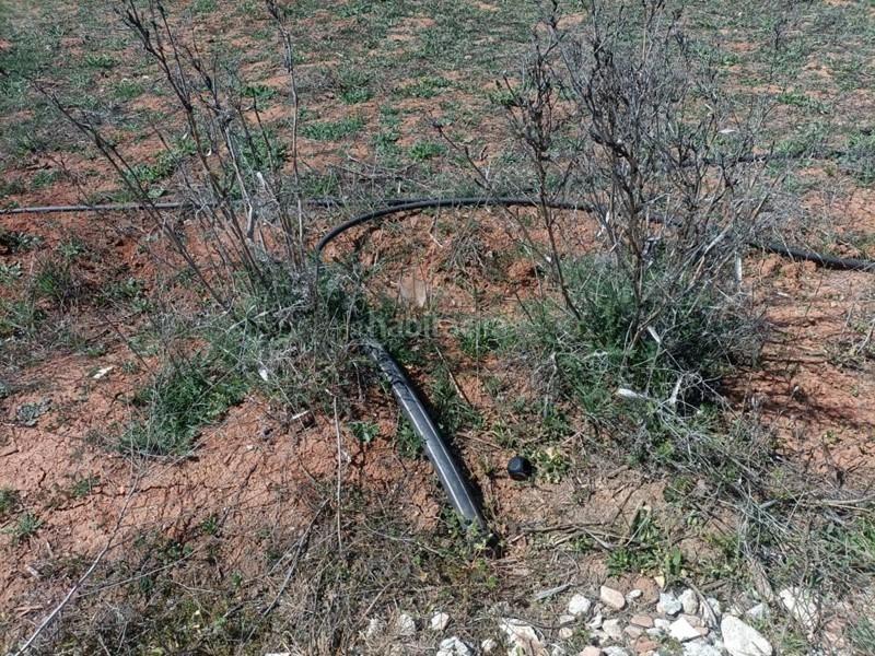 Foto 7d6afcde-969d-4bfd-88cf-385d3948ed4f. Masía finca rústica en venta en Albolote