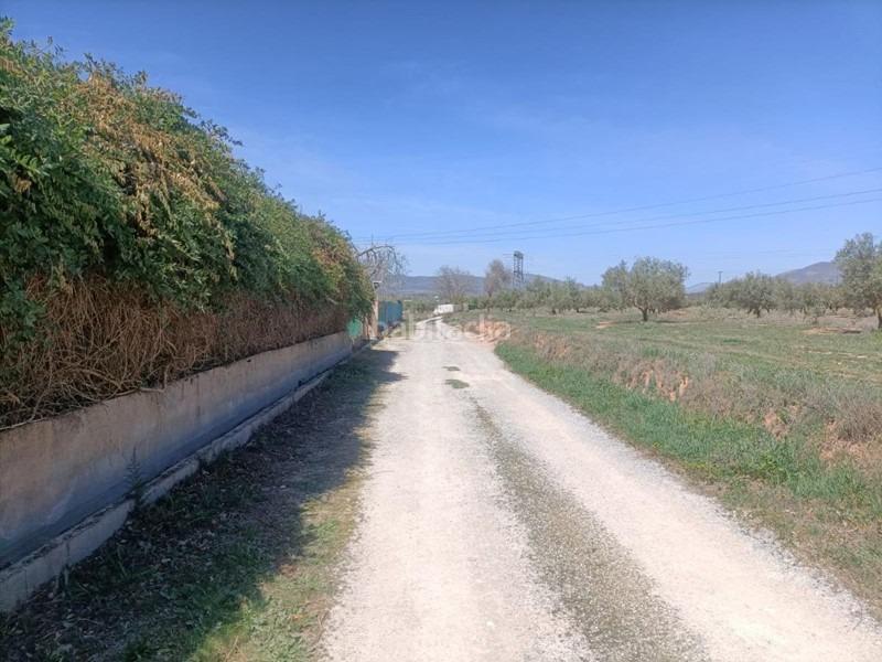 Foto 8d692bd4-6c27-474f-9637-55cbfedecb2a. Masía finca rústica en venta en Albolote
