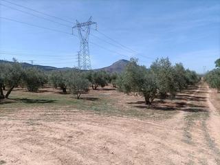 Mas  Polígono la zanja. Finca rústica en venta