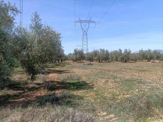 Mas  Polígono la zanja. Finca rústica en venta