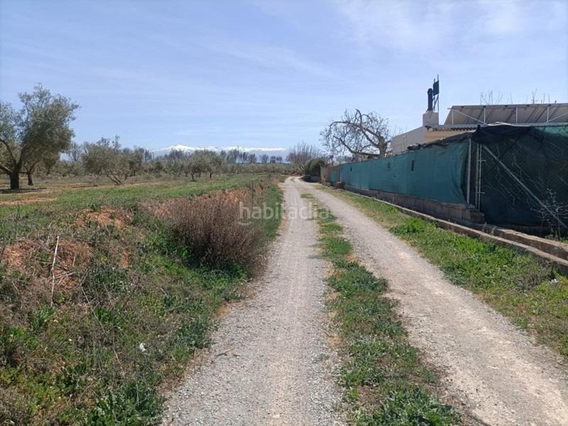Foto bbfe80b8-84b6-4577-975c-f95e2f2076e2. Masía finca rústica en venta en Albolote