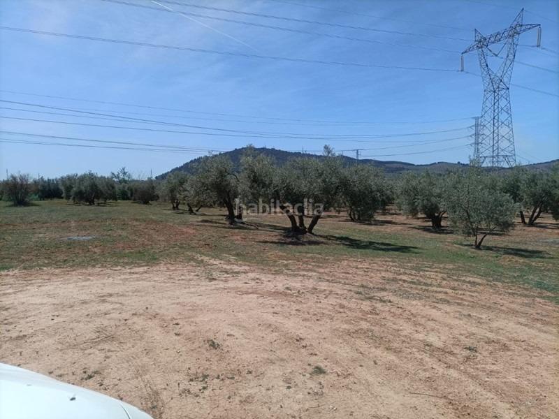 Foto be777e67-2e0d-409b-bbb0-6a932a4a2195. Masía finca rústica en venta en Albolote