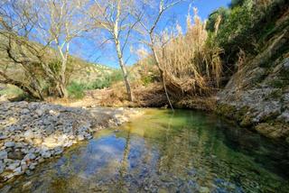 Masia  Calle quinta pesquera. Finca de 2700 olivos en algarinejo granada