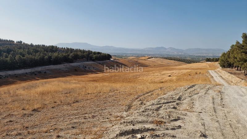 Foto 0d426495-d281-4471-8d80-42aef54f2535. Finca rústica finca rustica 21ha en Santa Fe