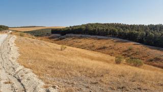 Finca rústica  Lugar polígono 9 parcela 113. Finca rustica en santa fe 21ha