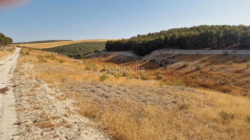 Foto 55740ce1-7513-4a57-ad44-80129f226e99. Finca rústica finca rustica 21ha en Santa Fe