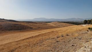 Finca rústica  Lugar polígono 9 parcela 113. Finca rustica en santa fe 21ha