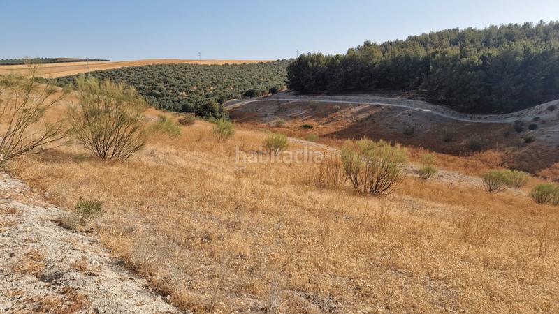 Foto 5b7c1c51-abfe-4262-b85a-19a6da834769. Finca rústica finca rustica 21ha en Santa Fe