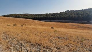 Finca rústica  Lugar polígono 9 parcela 113. Finca rustica en santa fe 21ha