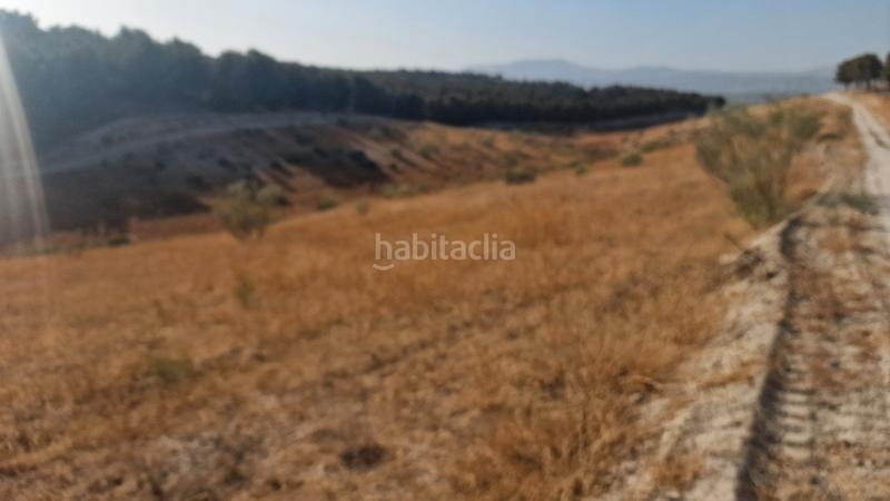 Foto ab68dfcb-b7fa-42be-a6ff-a29117962372. Finca rústica finca rustica 21ha en Santa Fe