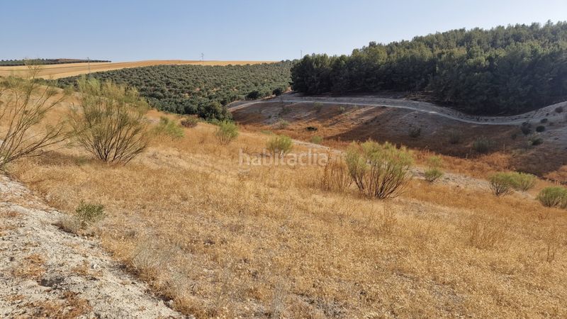 Foto b5ee7be2-5569-4640-b9b8-df155d92bfbe. Finca rústica a Santa Fe