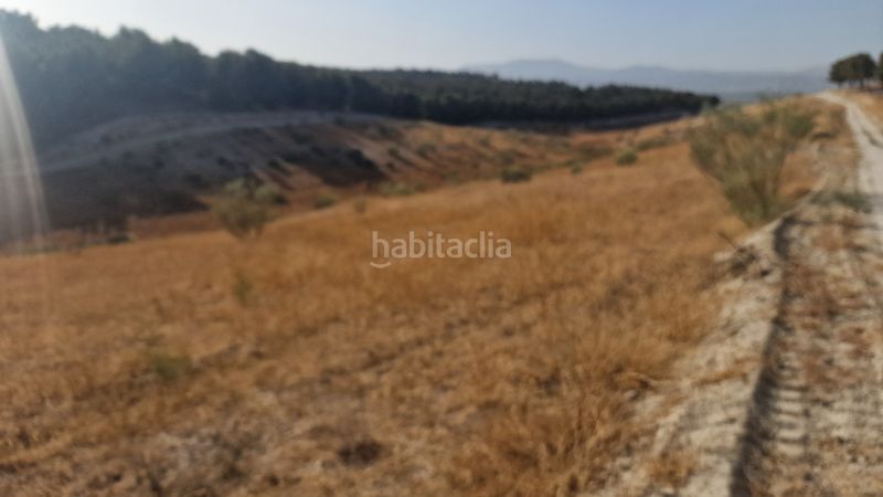 Foto d0776762-527e-4357-b617-910f82a48fb2. Finca rústica a Santa Fe