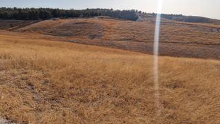 Finca rústica  Lugar polígono 9 parcela 113. Finca rustica en santa fe 21ha