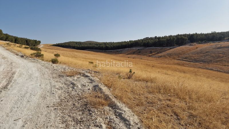 Foto d93a7861-c7cf-42f0-9526-a632c8c6c6ea. Finca rústica a Santa Fe