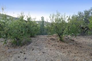 Masia  Polígono 5 parcela 133 serrezuela. villamena (gra. Finca rústica en cónchar
