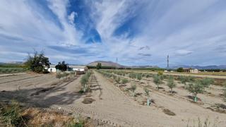 Mas à Ctra santa fe a el jau. Finca en la vega entre santa fe y el jau, 55 marjales