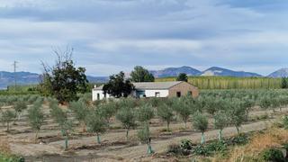 Masía en Ctra santa fe a el jau. Finca en la vega entre santa fe y el jau, 55 marjales