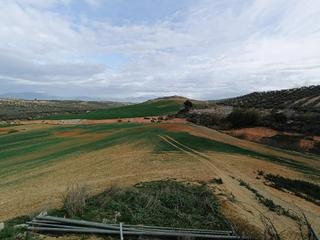 Terrain résidentiel  Diseminados. Estupenda finca en cijuela