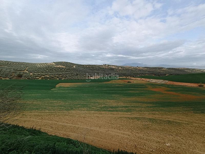 Foto 293d5984-a31a-4390-92e6-fc77e60598f9. Terreno residencial estupenda finca en Cijuela