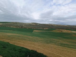 Terreno residencial  Diseminados. Estupenda finca en cijuela
