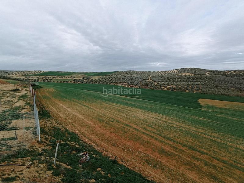 Foto 9a5da58f-af5b-4e15-b04d-996dac1a3789. Terreno residencial estupenda finca en Cijuela