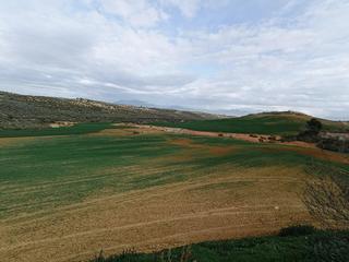 Terreno residenziale  Diseminados. Estupenda finca en cijuela