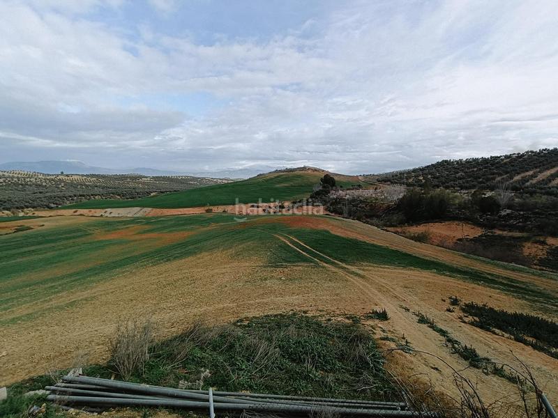 Foto a1d56f11-f195-4ab1-8849-879e9ac4f724. Terreno residencial estupenda finca en Cijuela
