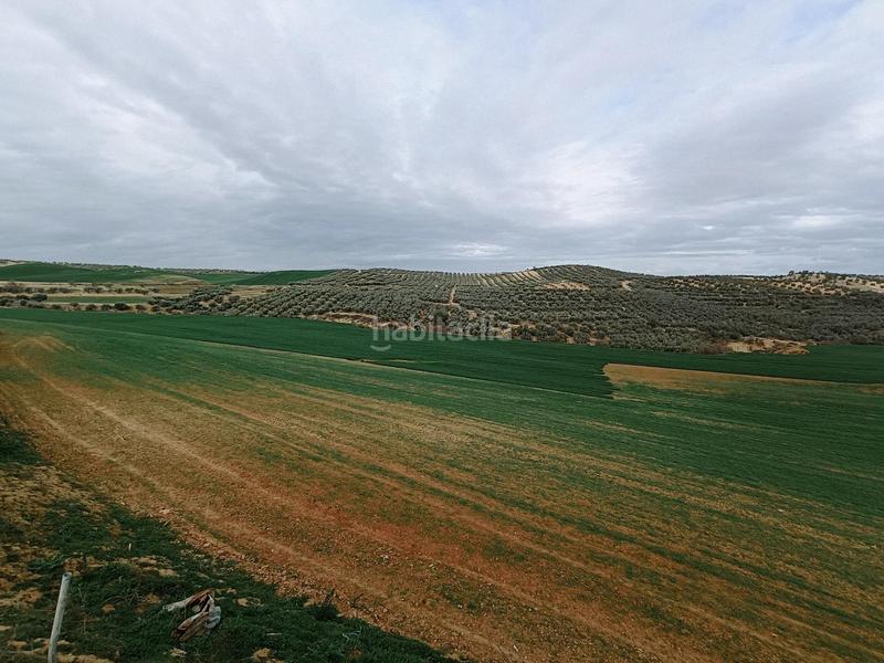 Foto b7dbe906-93b5-4aa1-b82a-87df4961a836. Terreno residencial estupenda finca en Cijuela