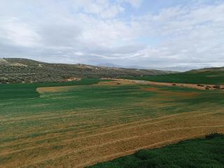 Terreny residencial  Diseminados. Estupenda finca en cijuela