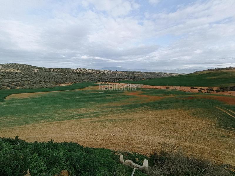 Foto e9c07400-78e5-4363-a967-34a8612a58bd. Terreno residencial estupenda finca en Cijuela