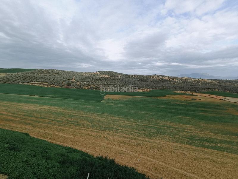 Foto f3c8e544-565b-449a-91b5-ef989378c25a. Terreno residencial estupenda finca en Cijuela