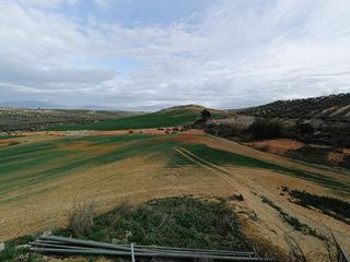 Terreny residencial a DISEMINADOS