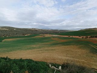 Terreny residencial  Diseminados. Estupenda finca en cijuela, granada