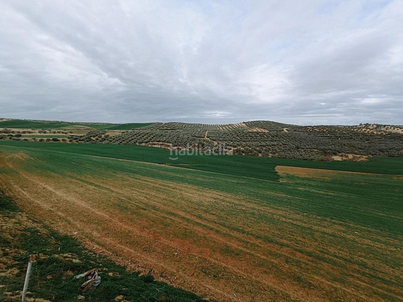 Foto ae7a792c-bef3-45a0-8179-7968a6d415a4. Finca rústica a Cijuela