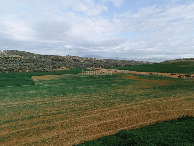 Foto cd49712b-a395-4af3-b345-c082d1a215f8. Finca rústica a Cijuela