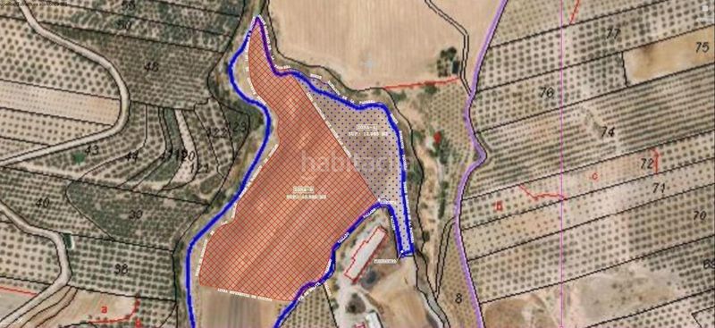 Foto dca64991-c948-4af7-a55d-88cf7eb4faa3. Finca rústica a Cijuela