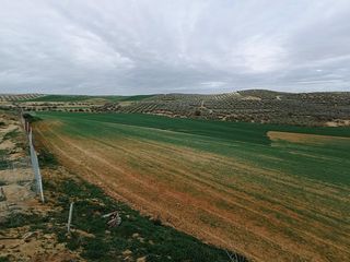 Finca rústica a DISEMINADOS