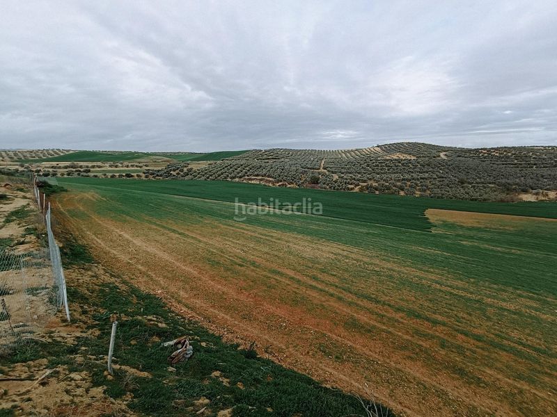 Foto f0bd9404-ffd5-4162-9429-2f317da479a5. Finca rústica a Cijuela