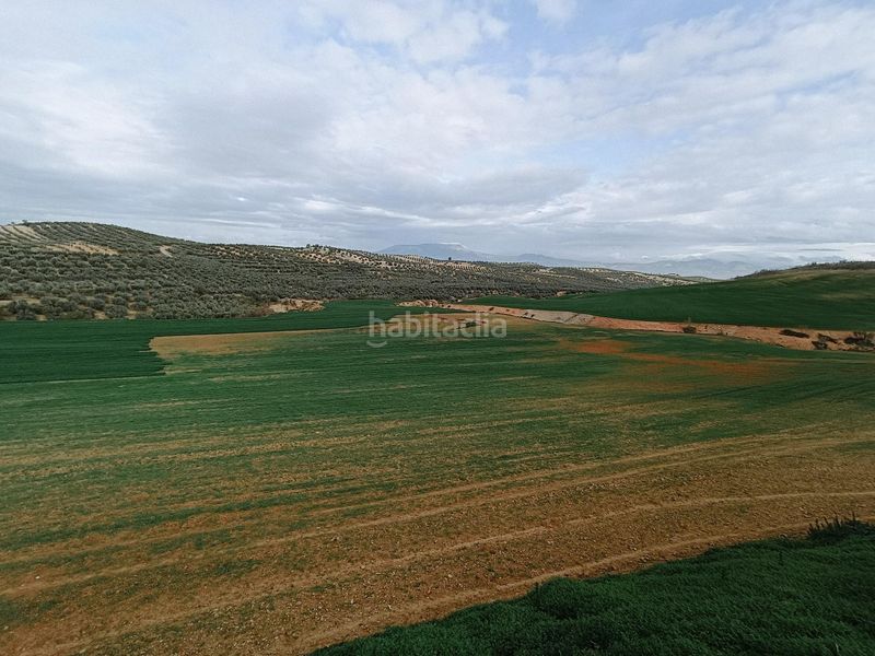 Foto fb4e7861-7e2d-4dde-ba40-a5a91d24d2f5. Finca rústica a Cijuela