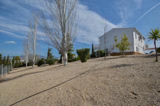 Chalet  Calle b. Sueña a lo grande