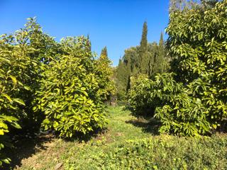 Bauernhof  Polígono 3 parcela 212 viqa prados. lecrin (grana. Finca rústica en lecrín